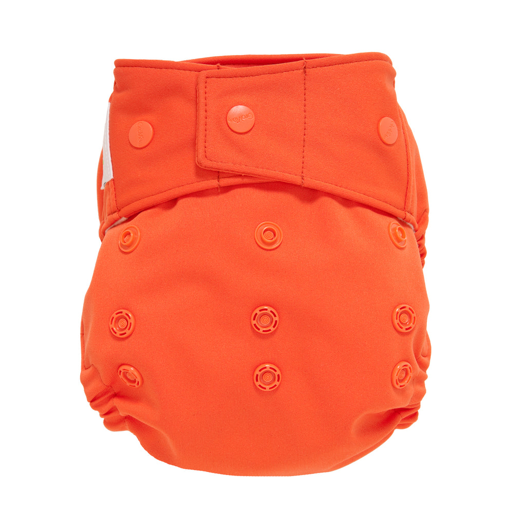 Grovia hybrid persimmon m/knapper