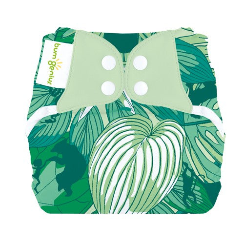 bumGenius elemental økologisk chico - limted edtion