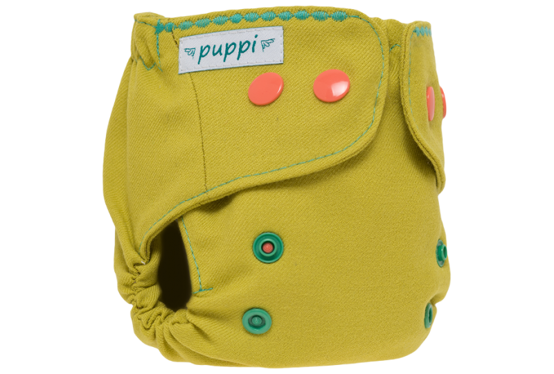 Puppi V1 nyfødt - Apricot tree