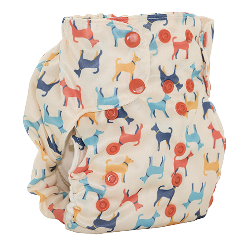 Smart One 3.1 AIO - Rover