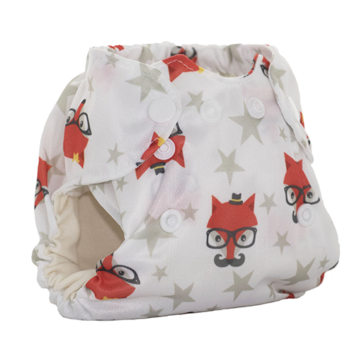 Born smart - Fantastic hipster fox