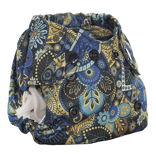 Born smart - Dreamland