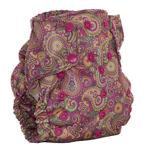 Too smart - ai2 cover - Lucy