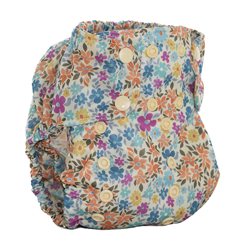 Too smart - ai2 cover - Charlotte